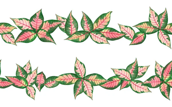 Akvarel Malba Barevné Tropické Palmové Listy Zelená Dovolená Bezešvé Vzor — Stock fotografie
