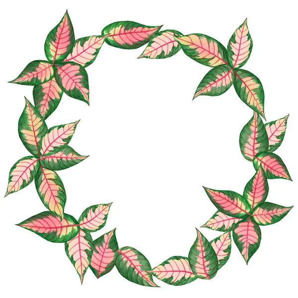Akvarell Målning Ram Cirkel Färgglada Tropiska Palmblad Grön Blad Bakgrund — Stockfoto