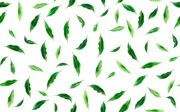 水彩画新鲜落叶 绿叶无缝图案背景 水彩画热带奇异叶色图案墙纸 夏威夷罗哈纺织品夏季风格图案 — 图库照片