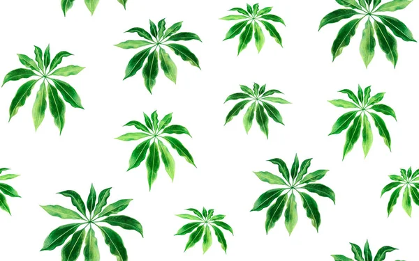 Aquarela Pintura Verde Folha Sem Costura Padrão Background Watercolor Mão — Fotografia de Stock