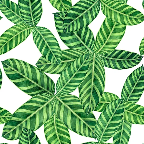 Watercolor painting colorful tropical palm leaf,green leaves seamless pattern background.Watercolor hand drawn illustration tropical exotic leaf prints for wallpaper,textile Hawaii aloha jungle style.