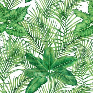Suluboya boyalı ağaç hindistan cevizi, palmiye yaprağı, dikişsiz yeşil izin arkaplan. Duvarkağıdı için suluboya el çizimi tropikal egzotik yaprak baskıları, tekstil Hawaii aloha orman deseni..