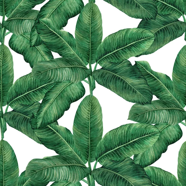 Akvarell Målning Kokos Banan Palmblad Grön Blad Sömlös Mönster Bakgrund — Stockfoto