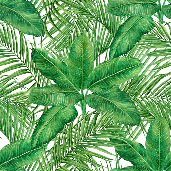 Akwarela Malarstwo Kokos Liść Palmy Zielony Pozostawić Bezszwowy Wzór Tła — Zdjęcie stockowe