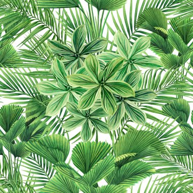 Hindistancevizi boyası, palmiye yaprağı, yeşil yapraklar pürüzsüz arka plan. Duvarkağıdı için suluboya el çizimi tropikal egzotik yaprak baskıları, tekstil Hawaii aloha orman modeli..