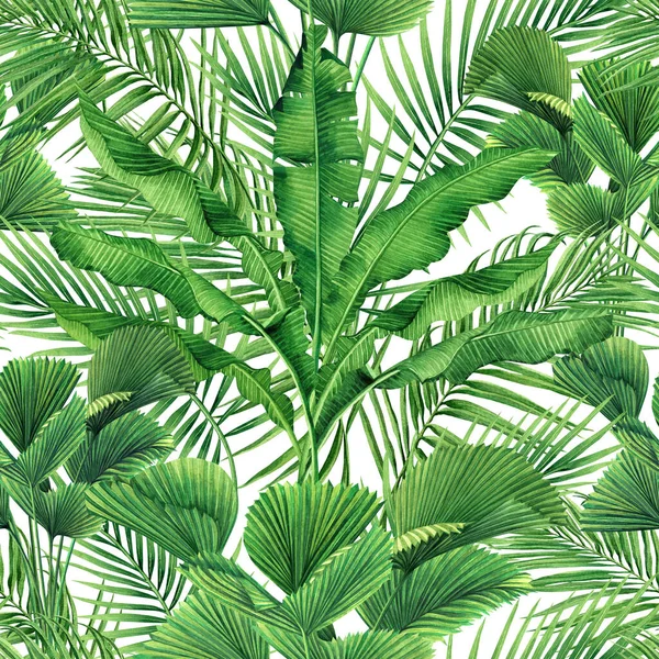 Hindistan cevizi, muz, palmiye yaprağı, yeşil yapraklar, dikişsiz arkaplan. Duvarkağıdı için suluboya el çizimi tropikal yaprak baskıları, tekstil Hawaii aloha tarzı desen..
