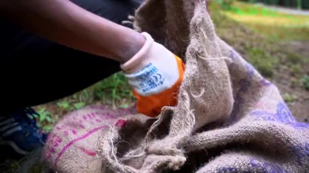 En indisk volontär plockar upp avfall material nedskräpade i skogen och lägga i en säck — Stockvideo