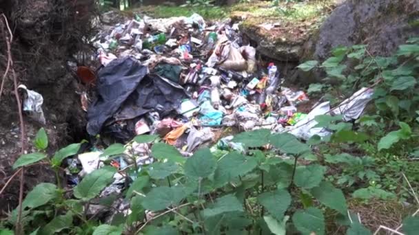 Tilt up shot of basbage pile in a forest causing land pollution — Vídeos de Stock