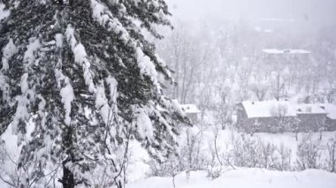 Yaşlı Manali adında küçük bir Hint köyü. Kışın kar yağarken çok güzel görünüyor.
