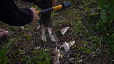 Bir adam gün içinde bir ağacın dalını baltayla kesiyor. - Yakın çekim.