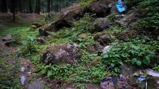 Garbages espalhados no chão da floresta rochosa na montanha inclinar para baixo, tiro panning — Vídeo de Stock