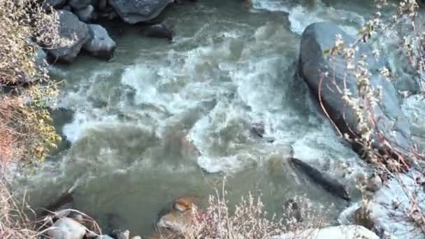 Een Slow-Mo stroom van een rivier binnen de bergen van himachal pradesh — Stockvideo