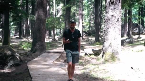 Un joven mochilero americano usando su teléfono mientras camina en un bosque — Vídeos de Stock