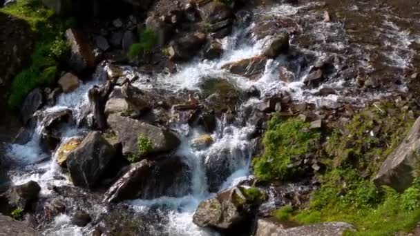 Schoon water stroomt door de rotsen in een kleine waterval bij de berg — Stockvideo