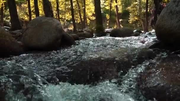 Agua cristalina fluyendo y salpicando en el río rocoso en el bosque - close up slowmo — Vídeo de stock