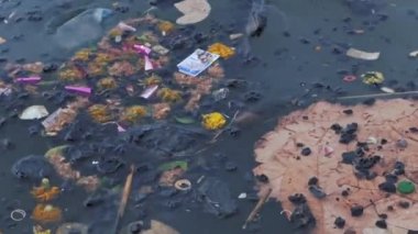 Hindistan 'ın Uttar Pradesh eyaletindeki Varanasi şehrinde kirli suda yüzen garaj ve kuru yapraklar. - Yakın çekim. 