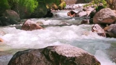Hindistan, Uttrakhand 'daki Harsil Köyü' nde kristal berrak su yatağı. Ganga kolu 