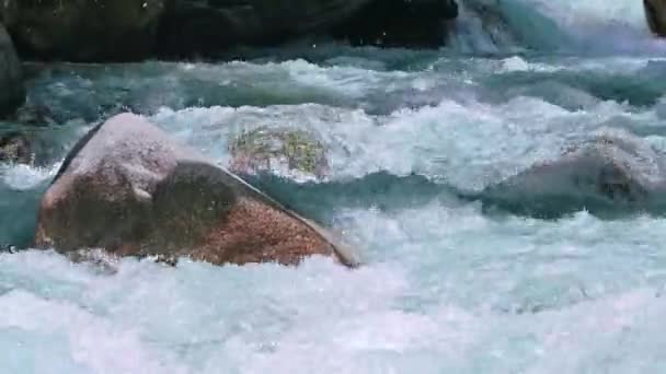 Água cristalina de córrego batendo rochas e fluindo para baixo. Incline para baixo em Harshal, Uttrakhand — Vídeo de Stock