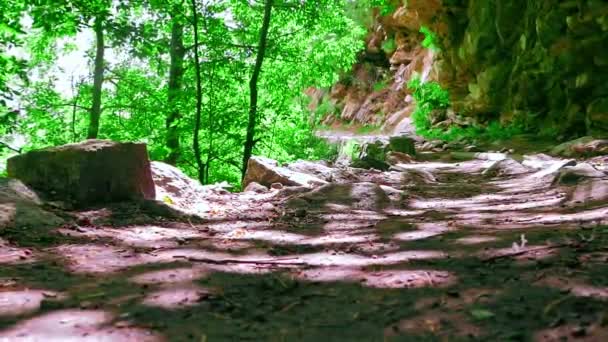 Bodennahe Nahaufnahme eines Mannes, der durch einen Dschungel geht — Stockvideo