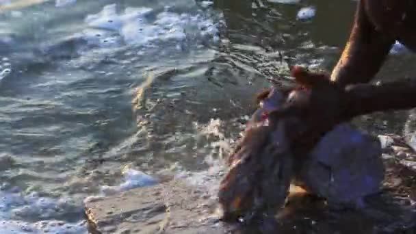 Un linge de lavage local sur la rivière Ganges dans la ville de Varanasi en Inde et causant la pollution de l'eau - Mouvement lent — Video