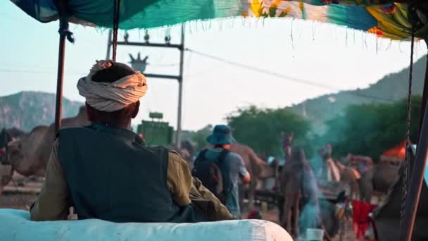 A man sitting on camel caravan during pushkar camel fair — Stock Video