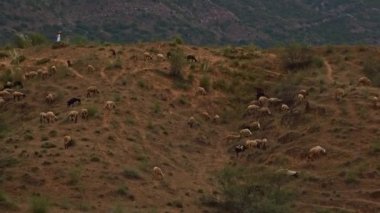 Kamera uzaktaki bir adamdan uzaklaşıp Pushkar, Rajasthan, Hindistan 'daki havayı emen bir kıza zum yapıyor.