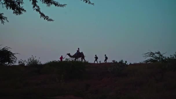 ラジャスタン州プシュカルの山をラクダが通り過ぎる人々のシルエット — ストック動画