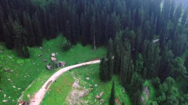 Himachal Pradesh 'deki ağaçlara doğru giden bir yoldan bulutlara bakan hava görüntüleri.