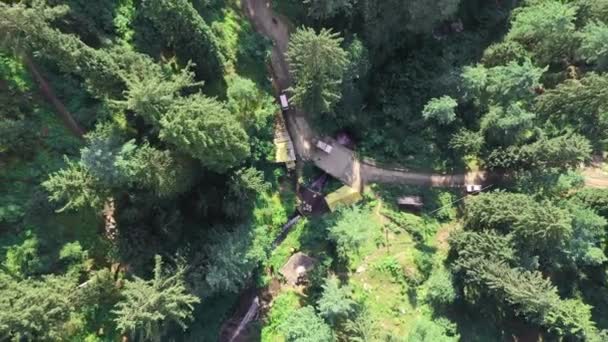 Aerial footage of evergreen trees at jana waterfall , manali , himachal pradesh . Looking down , Revealing . — Stock Video