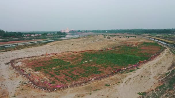 Tac Mahal 'in havadan yükselen görüntüsü ortaya çıkıyor ve Yamuna Nehri Agra, Uttar Pradesh, Hindistan' da akıyor. — Stok video