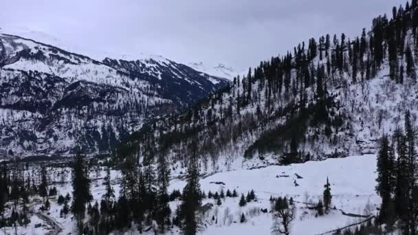 Luchtvaart snel bewegende opname van enorme bergen bedekt met sneeuw met pleisters van Evergreen Tree in Solang, Himachal pradesh, Vertigo effect — Stockvideo