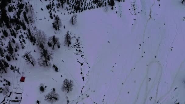 Vista aérea de gente vista como pequeños puntos negros disfrutando en la nieve en Solang Adventure Valley, Himachal — Vídeos de Stock
