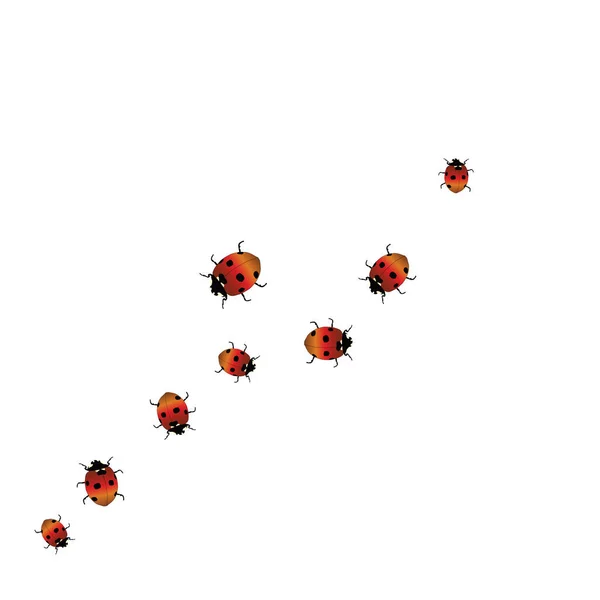 Fond Délicat Avec Des Coccinelles Modèle Tendance Pour Carte Postale — Image vectorielle