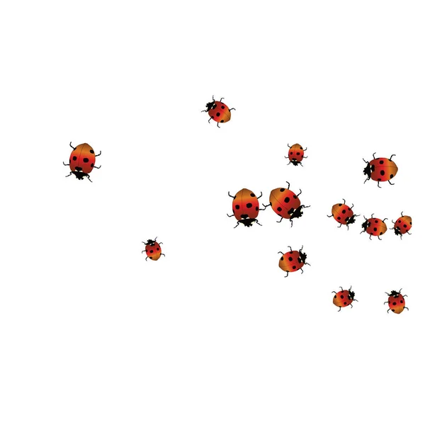Delicate Achtergrond Met Lieveheersbeestjes Trendy Sjabloon Voor Een Ansichtkaart Zegel — Stockvector