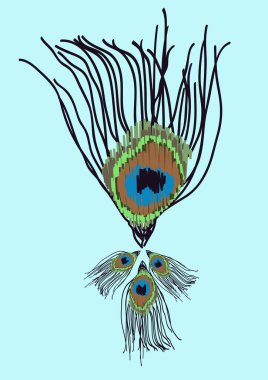 Vektör kapağı tasarımı. Mavi arkaplanda tavus kuşu tüyleri