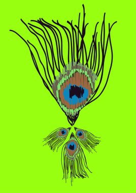 Vektör kapağı tasarımı. Yeşil arkaplanda tavus kuşu tüyleri