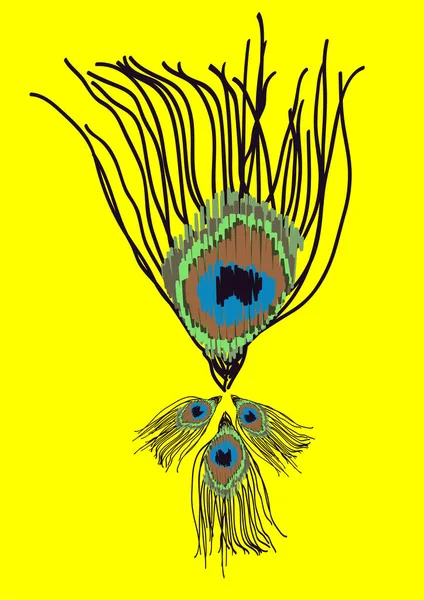 Vektör kapağı tasarımı. Sarı arkaplanda tavus kuşu tüyleri