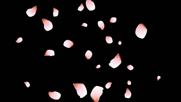 Вишневые Лепестки Розовые Летающие Лепестки Дизайн Цветов — стоковый вектор