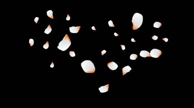 Kiraz yaprakları. Pembe uçan taç yaprakları. Çiçek tasarımı.