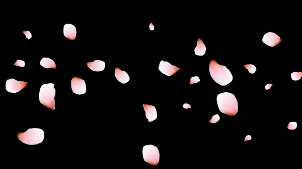 Kiraz yaprakları. Pembe uçan taç yaprakları. Çiçek tasarımı.