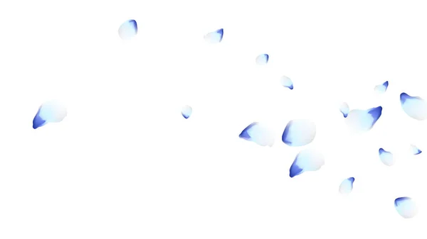 Лепестки Цветов Синие Летающие Лепестки Дизайн Цветов Весенний Шаблон Тонкий — стоковый вектор