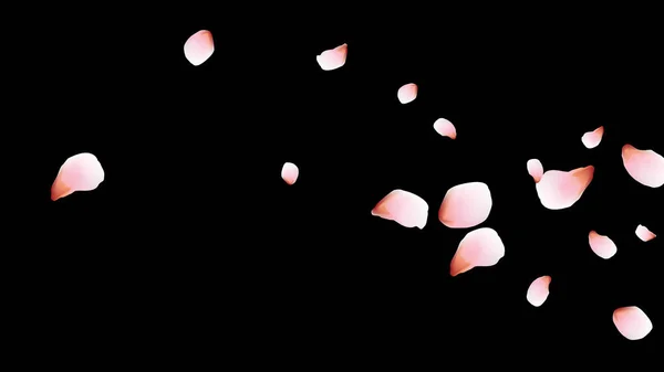 Kiraz yaprakları. Pembe uçan taç yaprakları. Çiçek tasarımı.