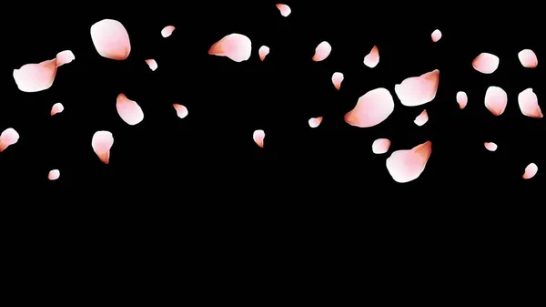 Kelopak Ceri Kelopak Terbang Merah Muda Desain Bunga - Stok Vektor