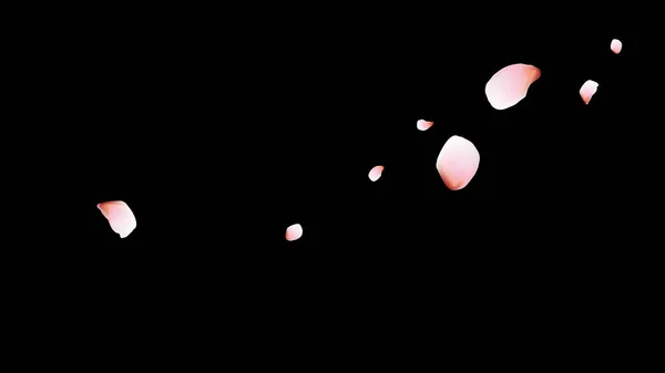 Kersenblaadjes Roze Vliegende Bloemblaadjes Bloemen Ontwerp — Stockvector