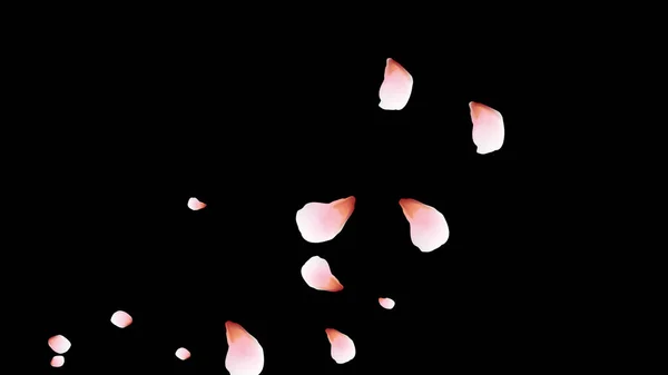 Cseresznye Szirmok Rózsaszín Repülő Szirmok Virágtervezés — Stock Vector