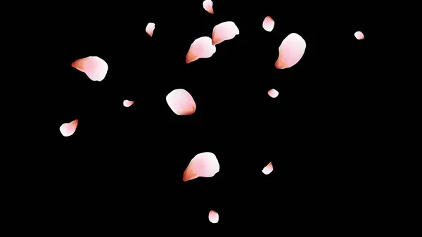 Pétalos Cereza Pétalos Voladores Rosas Diseño Flores — Vector de stock