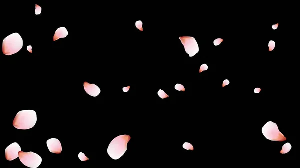 Kersenblaadjes Roze Vliegende Bloemblaadjes Bloemen Ontwerp — Stockvector