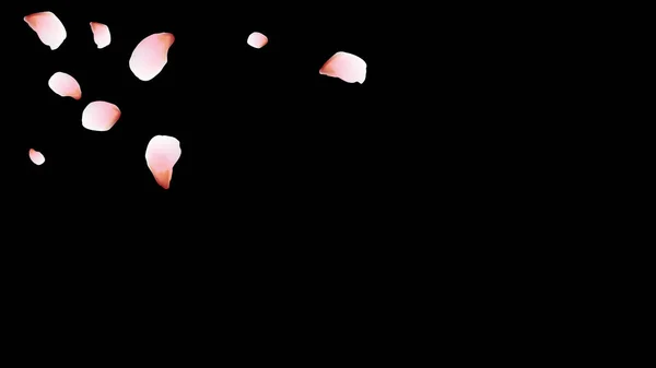 Пелюстки Вишні Рожеві Літаючі Пелюстки Квітковий Дизайн — стоковий вектор