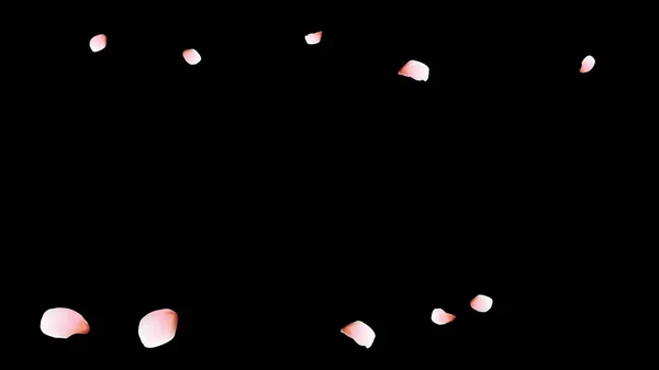 Des Pétales Cerise Pétales Volantes Roses Conception Fleurs — Image vectorielle