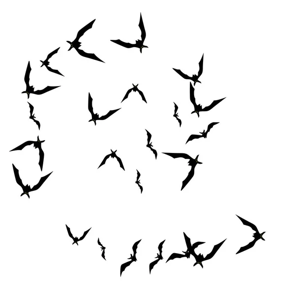 Απόκρημνο Φόντο Ιπτάμενες Νυχτερίδες Πρότυπο Φόντου Καρτών Haloween Κόμμα — Διανυσματικό Αρχείο